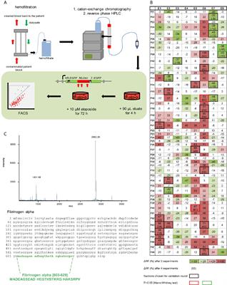 A Fibrinogen Alpha Fragment Mitigates Chemotherapy-Induced MLL Rearrangements